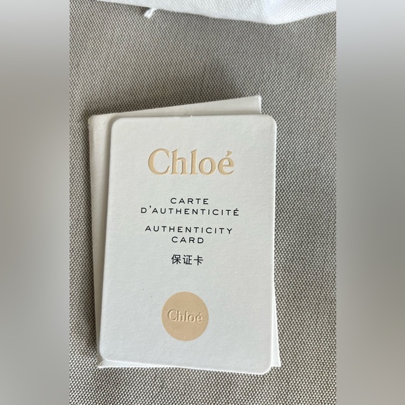 Chloe Marcie Small Basket Bag Raffia and Leather - Neutrals - Picture 11 of 16